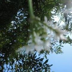 karrazolap's profile picture. Reportera