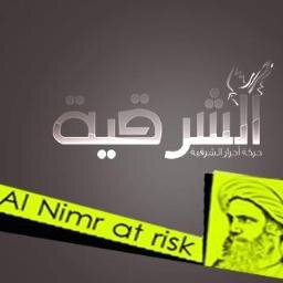 نحن لجنة متكاملة من عدة مناطق في القطيف ونشاطنا لايقتصر على الاعلام فقط بل نشاطاتنا على ارض الواقع مع جميع فئات وطبقات المجتمع القطيفي