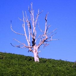 GorriaLur's profile picture. lectora, amante de los viajes, inconformista, intentando que esta sociedad materialista no cambie mis ideales de vida...