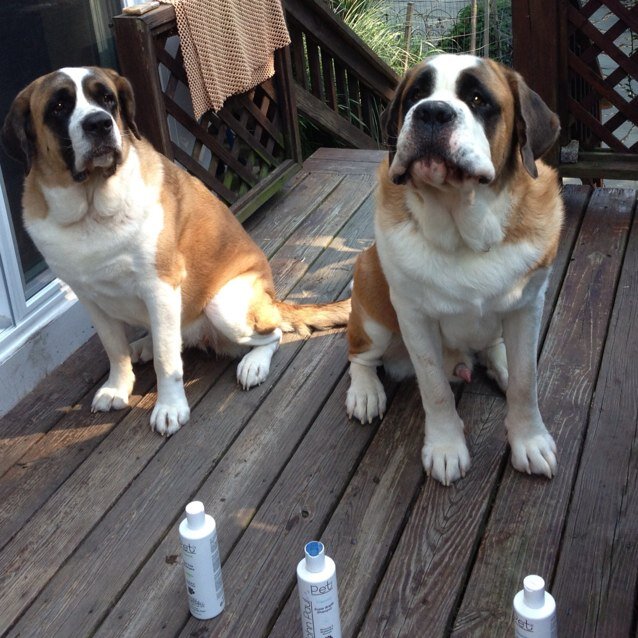 robinsnest714's profile picture. 