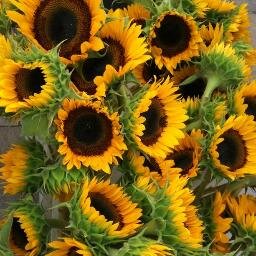Live Healthy, Live Happy Herbalist/Naturoatic Speak spanish