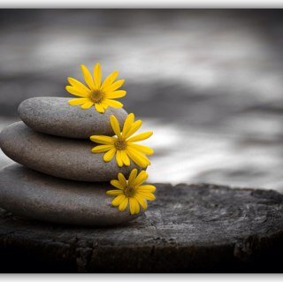 Doorela's profile picture. 