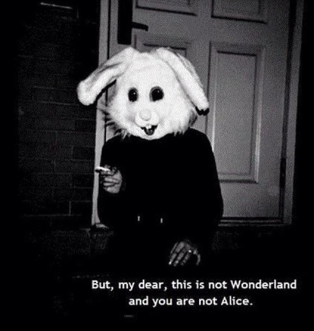 Chasinglimpy's profile picture. Gummy bears addict