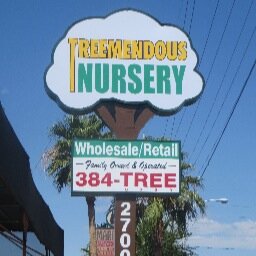 treemendouslv's profile picture. Plant and Tree Nursery Specializing in Palm Trees.