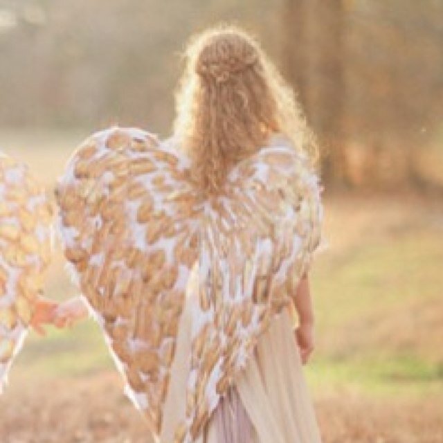 Wedding Planner ~ Helping you create your dream wedding

wingseventplanner@outlook.com