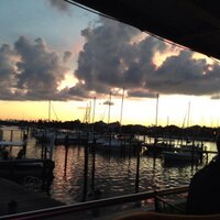 Mandy Schuerman (@mandyschuerman) 's Twitter Profile