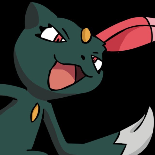 Have anything worthy of my attention~? No? Then please leave me be~ I have things to snatch~ lvl 40 Sneasel. #PokemonRP #Single