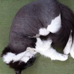 soctant's profile picture. Jobbar på socialtjänsten med frågor som rör missbruk- och beroendeproblematik.

Kan ej svara på arbetstid pga... jobbar då.