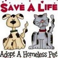 Save A Pet Rescue (@saveapetrescue1) 's Twitter Profile