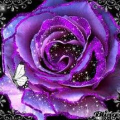 I believe in being honest, loyal, respectful and compassionate. When I find these traits in others, I treasure them as precious gifts.