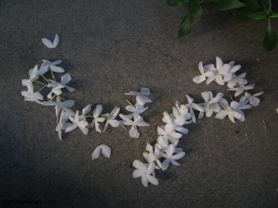 omarsaleh3232's profile picture. 