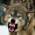 Space Wolf (@spacewolflove) Twitter profile photo
