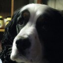 Robert Carriveau - @RobbyPooPoo - Twitter