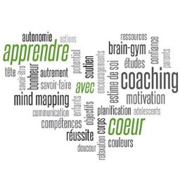 Coaching scolaire, Mind Mapping,TDAH, Renforcement positif