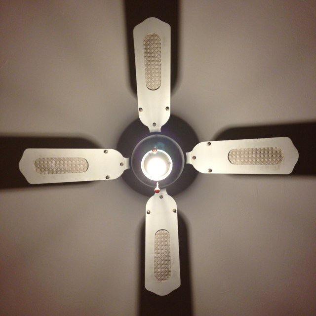 Ceiling Fan Kfnejfskjnkjnsf Twitter Ceiling Fan