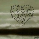 شقاوة الجنوب (@11zak_roro) Twitter