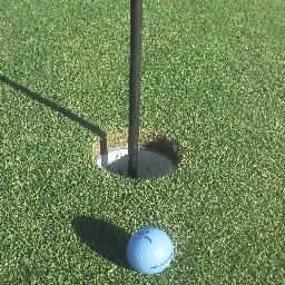 wife, mom, teacher, listener, addicted to golf, rabid Seahawk fan, thankful for life