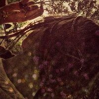 Marija Sulejmanova (@marrytms) 's Twitter Profile