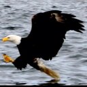 Ray Burrell - @ray_burrell - Twitter