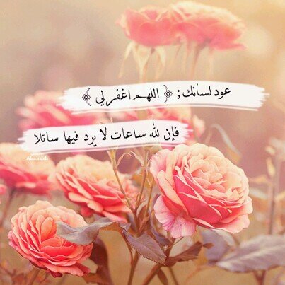 ..غـايتي رضاء ربي ثم رضاء والدي ..