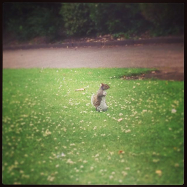 ahmed_moh2200's profile picture. 