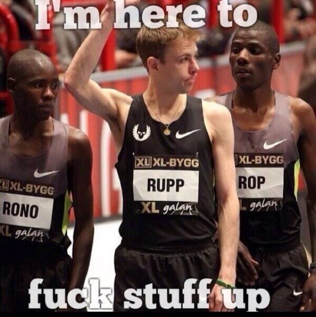 ThisRunningGirl's profile picture. Just a runner girl thats been hacked twice. Nbd. ✌ ||| 21:46 5K, 19:36 3mi, 12:48 3200, 5:59 1600, 2:35 800, 1:04 400.