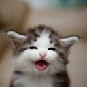 ma (@1017Maakun) Twitter