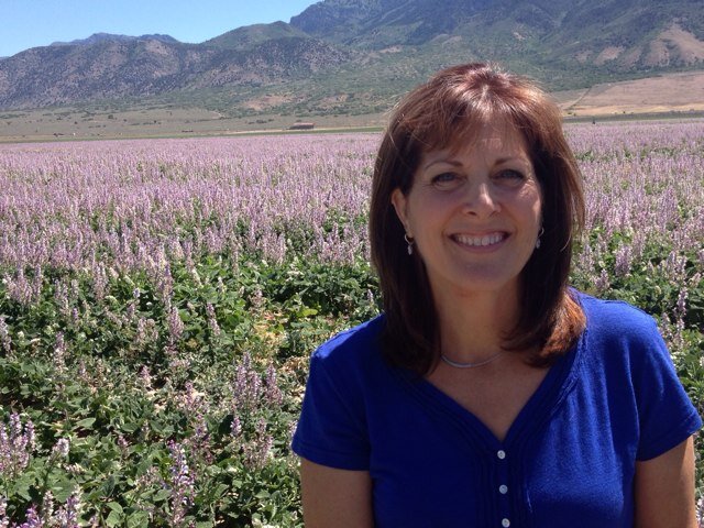 mjJourneyon's profile picture. 