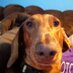 Mark Roberts (@marobers) Twitter profile photo