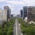 Comités y Consejos CDMX (@ccycp) Twitter profile photo