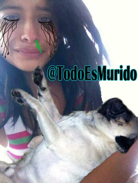 Por aquí estoy mientras que el señor dios de los cielos, GOKU, me devuelve mi cuenta @TodoEsJoda *se desmaya* *sigue siendo puta*