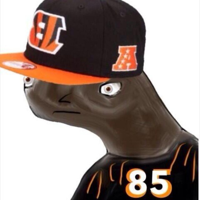 WR Freh Agent (Not Real Chad Johnson) YULU SWEG falo meh ! #TeamIDontFollowBack
