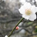 Ifan Yang - @yyfg0705 - Twitter