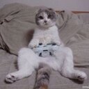 kyle perry - @DRAGONSLAYER707 - Twitter