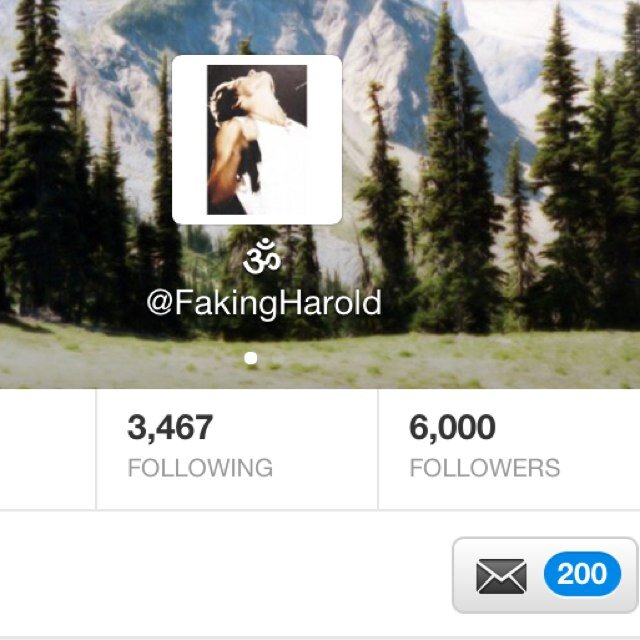 Here is your follow, now follow @FakingHarold!