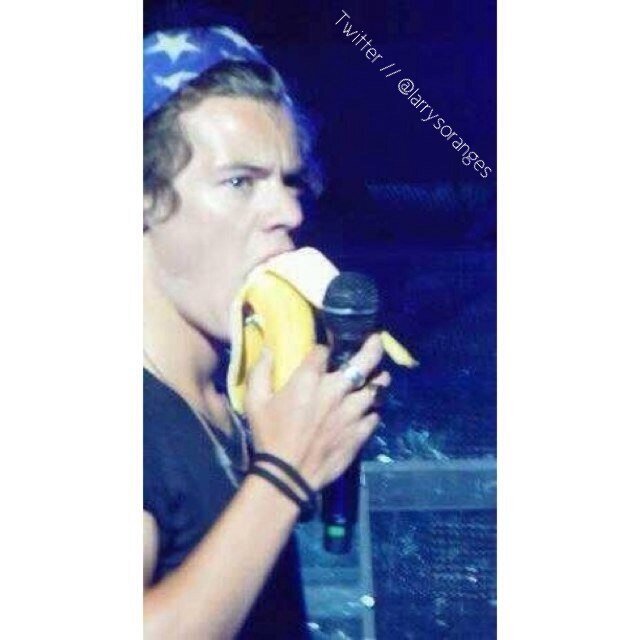 We'll keep on fighting 'till the end. Fighting for the love that matters most. Larry Stylinson is my life. 
~Larry Shippers Only~