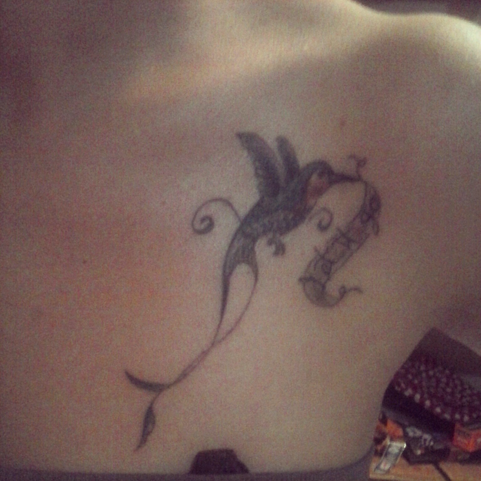 sharonbeautyy's profile picture. ROMANTICA,BIPOLAR,AMOROSA,CELOSA,ENOJONA,TIERNA,BUENA AMANTE,ademas soltera guapa y sin compromisos ... que mas quieren cabrones??? jajaja XDD