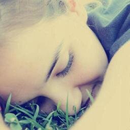 cataa_flan Profile Picture