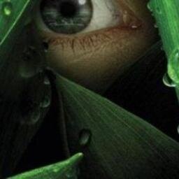 LAVERDA1985's profile picture. 