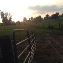 Nathaniel Bray  - @DieselFarmGent - Twitter