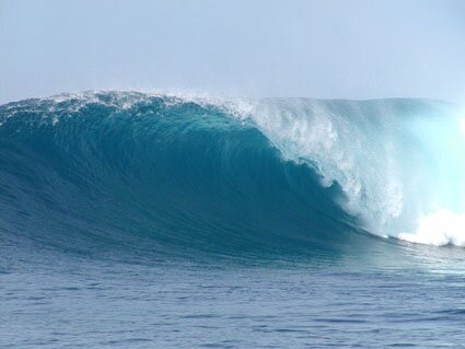 Looking for the best waves in the OBX.  Your spot or mine.  It's no secret.  We all love to surf.