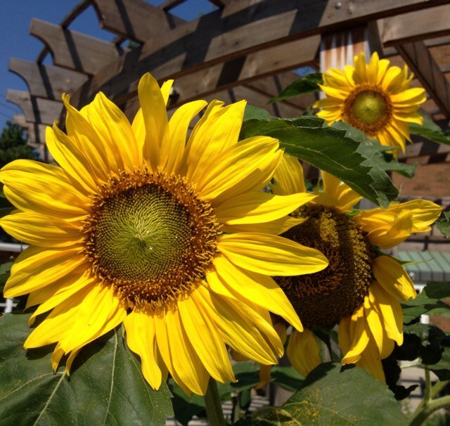 klkenn's profile picture. 