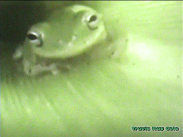 forgetcable's profile picture. 