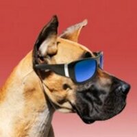 DaneWatch.com (@danewatch) 's Twitter Profile