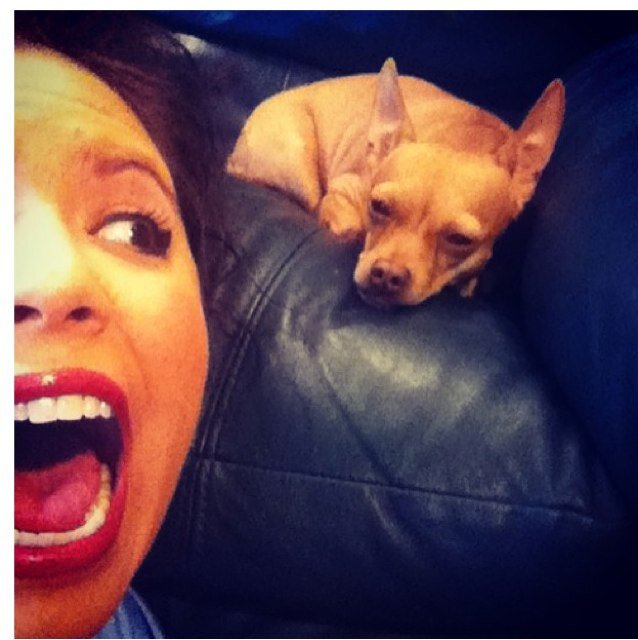 pilarhall's profile picture. 