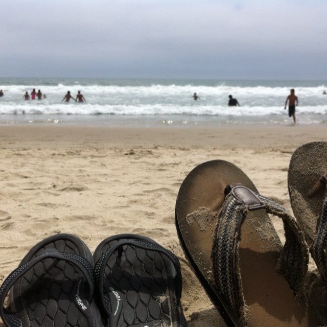 filedrawer's profile picture. 