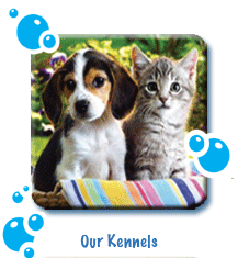 We are expert in providing spa services to your pets dog and cat with experienced professionals. We provide quality services and we expertise in grooming pets.