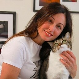 rebelcat1's profile picture. Rebel is the most beautiful cat in the world.