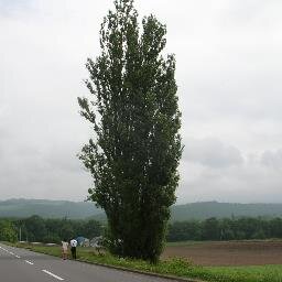 日々の出来事を等身大でつぶやきます。