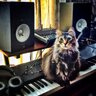 FunkCatBrown's profile picture. Multi-instrumental singer-songwriter producer working on debut album #Funk is its own reward. New single Licky Sticky Fun out now https://t.co/O9eC2aLcHn 👽😻